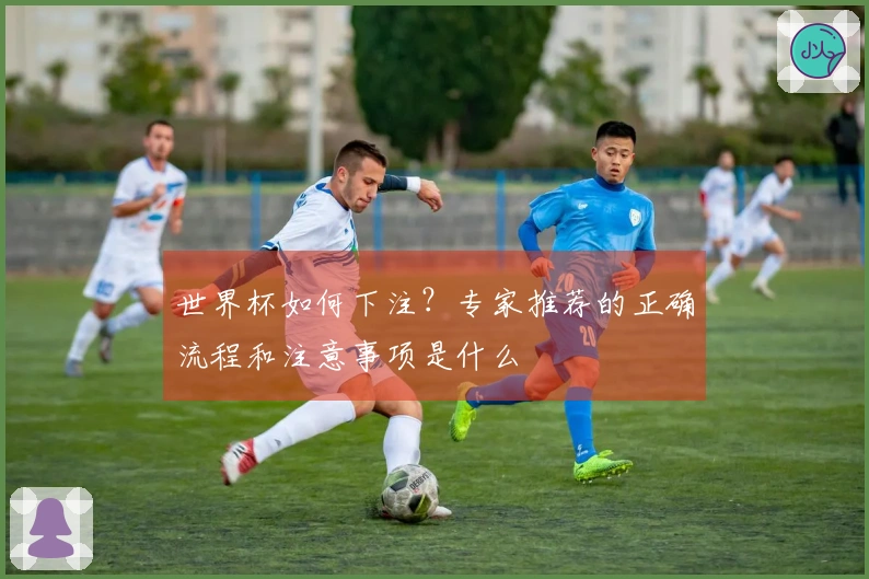 世界杯如何下注？专家推荐的正确流程和注意事项是什么