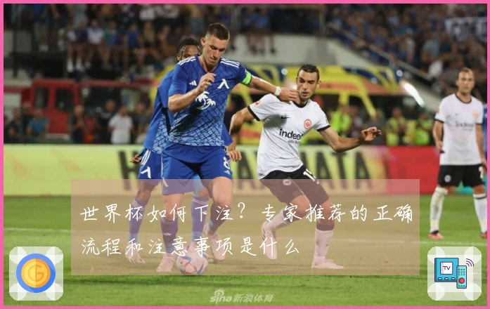 世界杯如何下注？专家推荐的正确流程和注意事项是什么