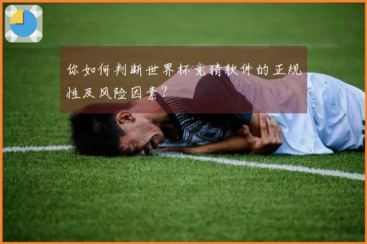 你如何判断世界杯竞猜软件的正规性及风险因素？