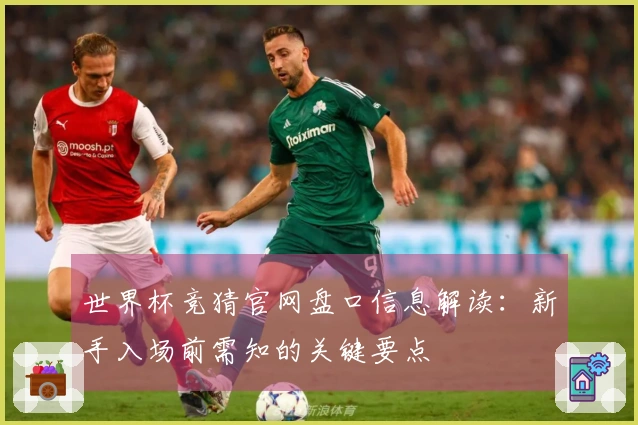 世界杯竞猜官网盘口信息解读：新手入场前需知的关键要点