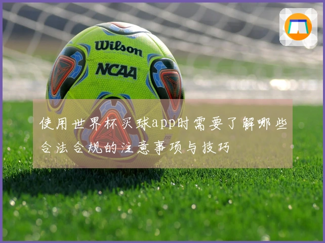 使用世界杯买球app时需要了解哪些合法合规的注意事项与技巧