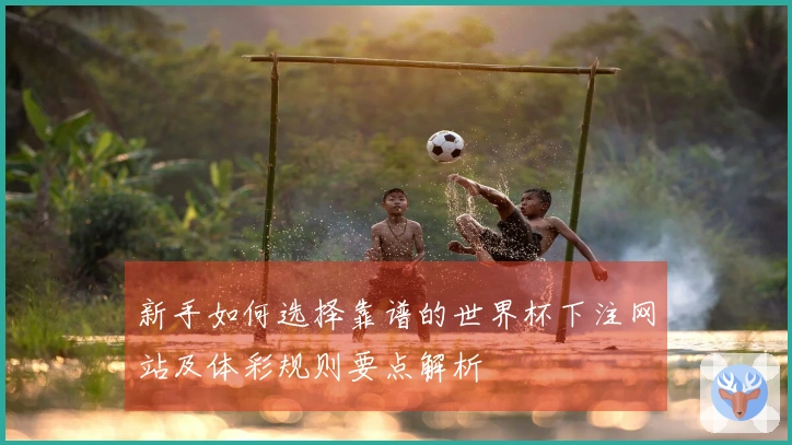 新手如何选择靠谱的世界杯下注网站及体彩规则要点解析