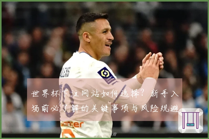 世界杯下注网站如何选择？新手入场前必了解的关键事项与风险规避技巧
