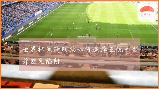 开云体育资讯文章配图