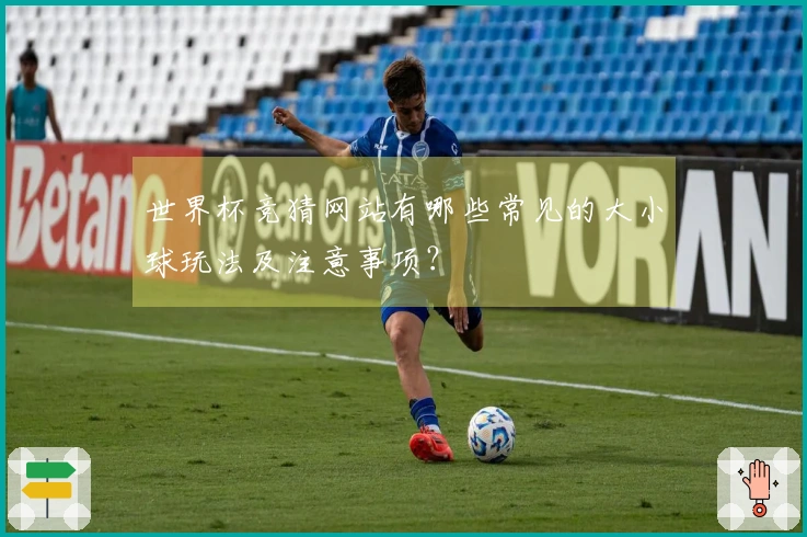 开云体育文章列表配图