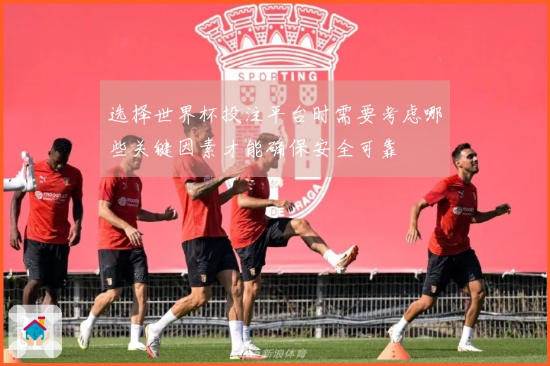 选择世界杯投注平台时需要考虑哪些关键因素才能确保安全可靠