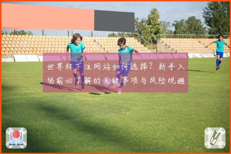 世界杯下注网站如何选择？新手入场前必了解的关键事项与风险规避技巧